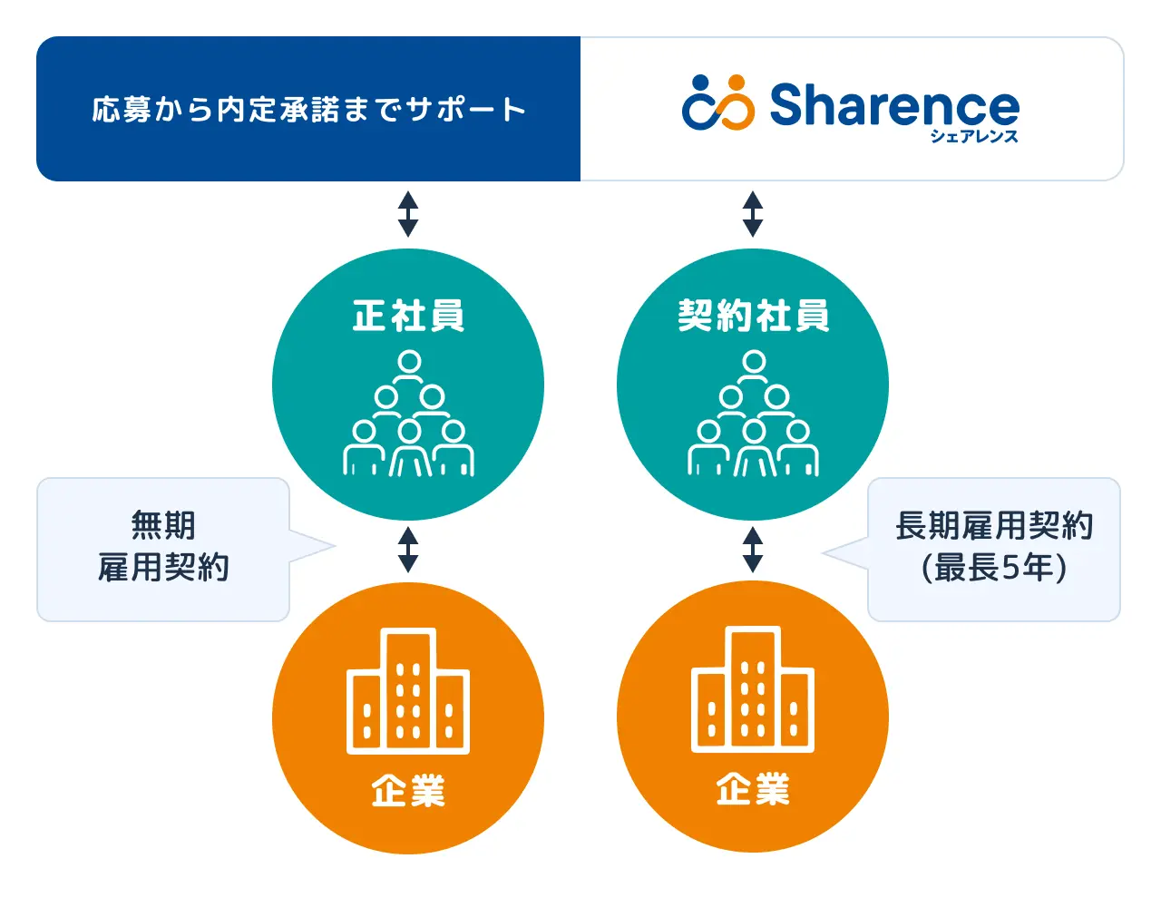 正社員・契約社員のしくみ
